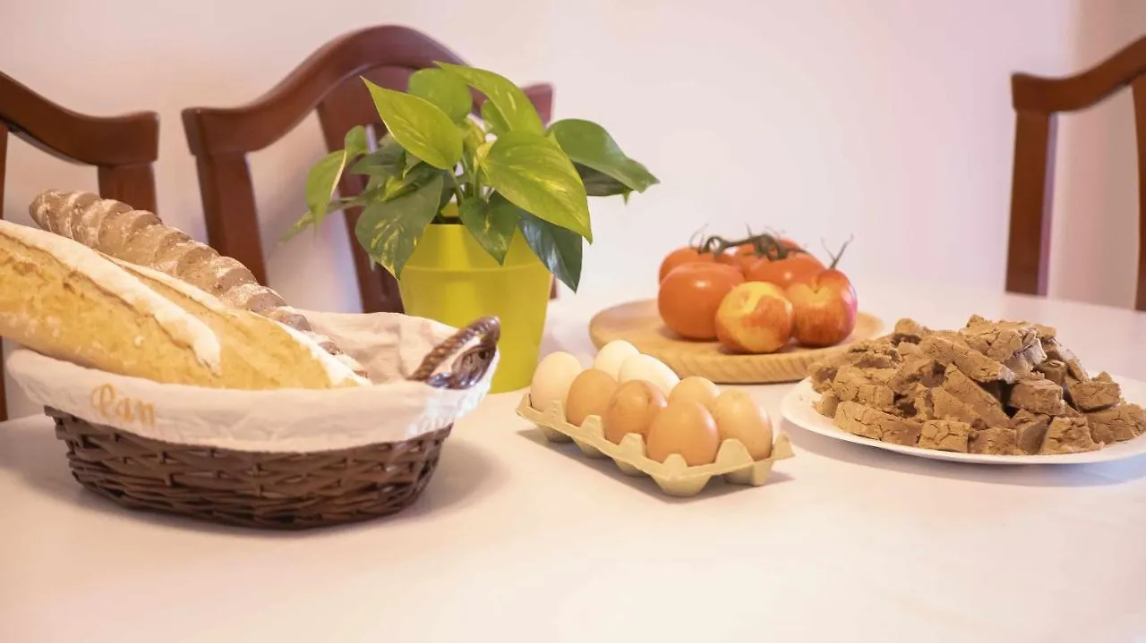 Canary Bio Hostel Tenerife Los Realejos